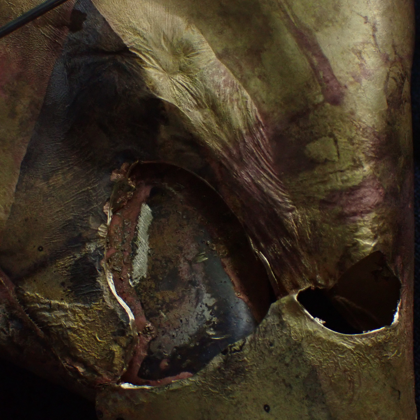 order13